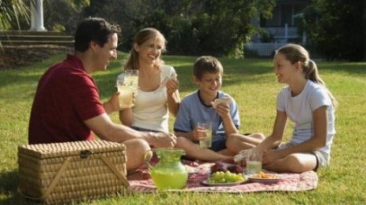 Fără mici şi bere la pădure! Legea picnicului, adoptată de Camera Deputaţilor